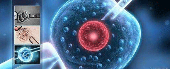 試管為什么會失??？高齡卵巢功能差該如何養卵